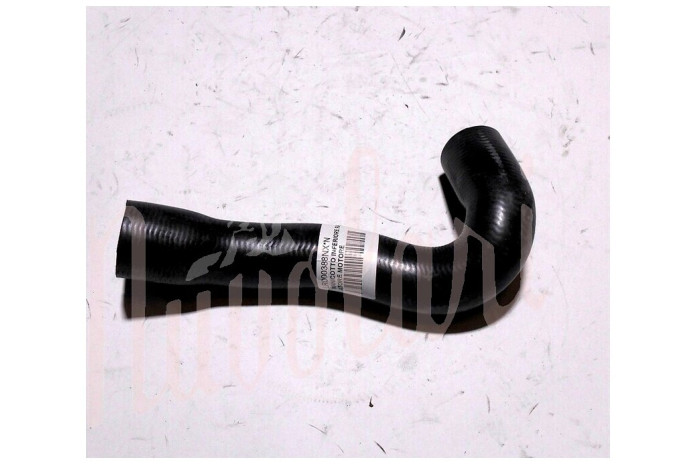 MANICOTTO INFERIORE RADIATORE MOTORE