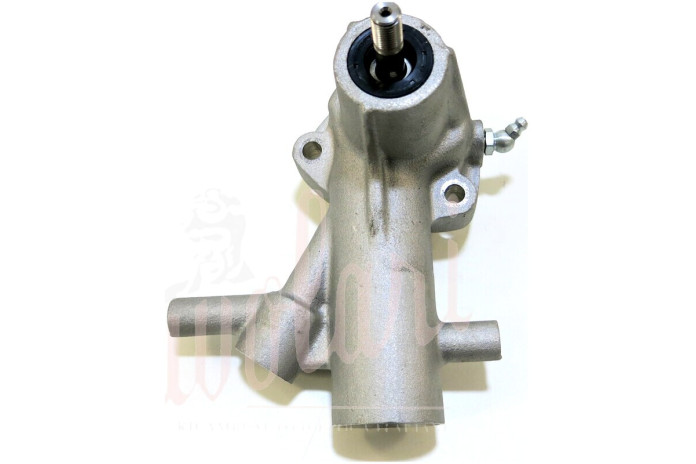 POMPA ACQUA CON 2 TUBETTI PERNO FILETTATO (CON INGRASSATORE)