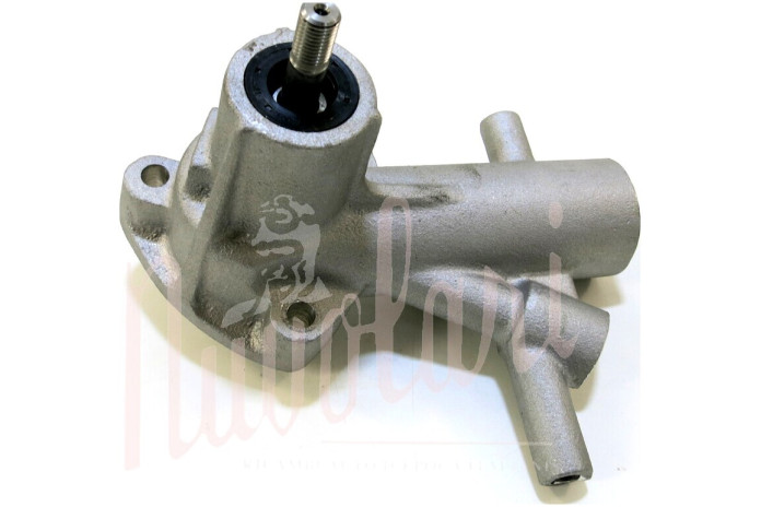 POMPA ACQUA CON 2 TUBETTI PERNO FILETTATO (CON INGRASSATORE)