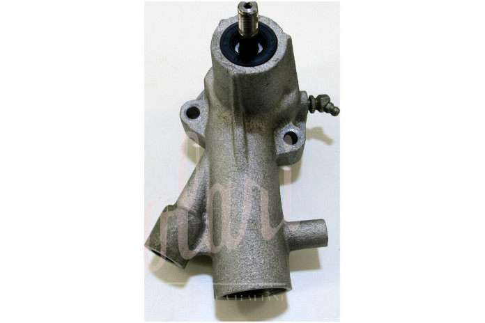 POMPA ACQUA CON ALBERINO FILETTATO CON 1 TUBETTO