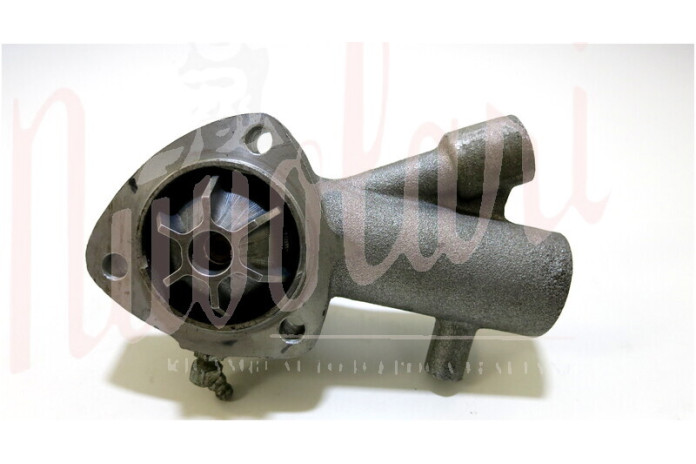 POMPA ACQUA CON ALBERINO FILETTATO CON 1 TUBETTO