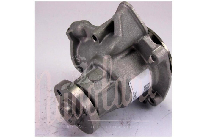 POMPA ACQUA FORO OVALE GIRANTE ALTA 16.5