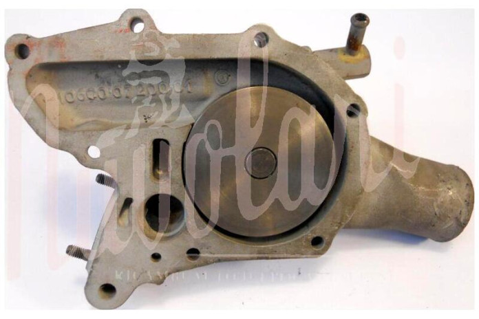 POMPA ACQUA REVISIONATA, CAUZIONE RESO € 100