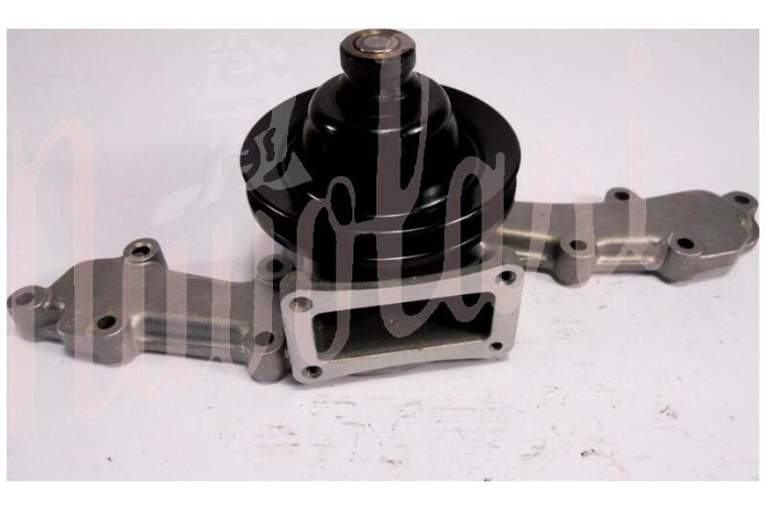 POMPA ACQUA GRAF SIL CON PULEGGIA