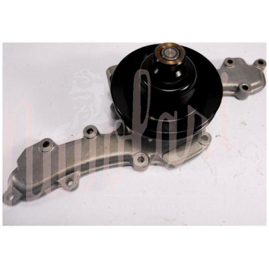 POMPA ACQUA GRAF SIL CON PULEGGIA