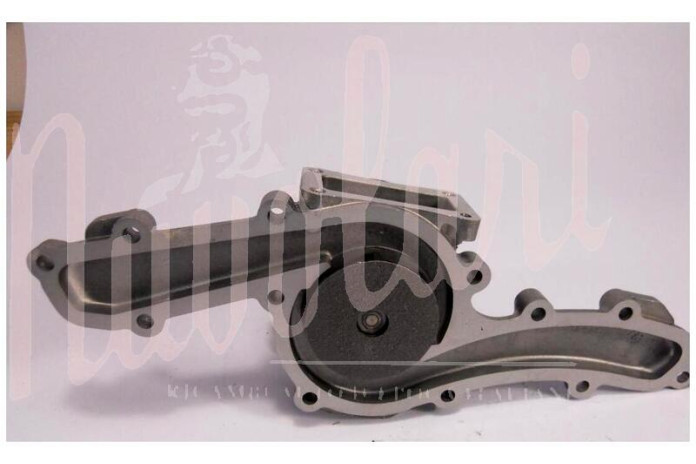 POMPA ACQUA GRAF SIL CON PULEGGIA