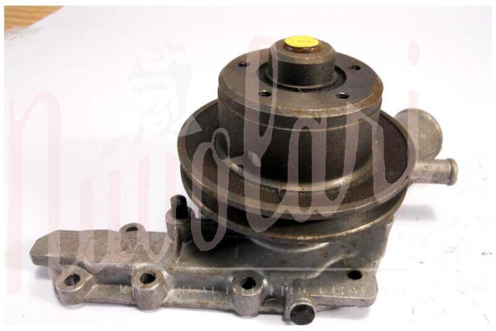 POMPA ACQUA CON ALTERNATORE PULEGGIA GRANDE