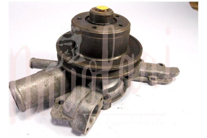 POMPA ACQUA CON ALTERNATORE PULEGGIA GRANDE