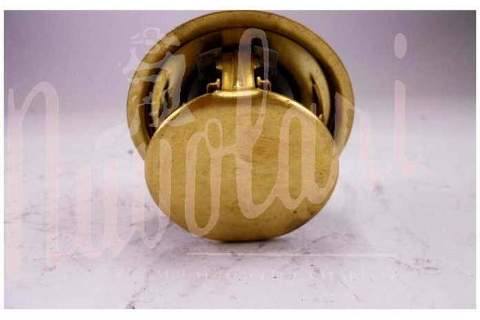 TERMOSTATO BEHR 82°