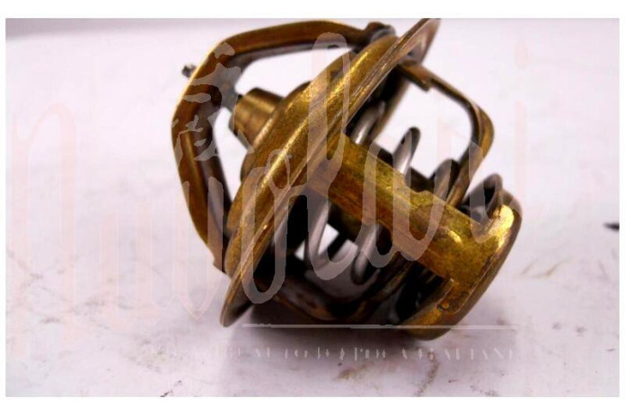 TERMOSTATO SAVARA D/54mm 83°