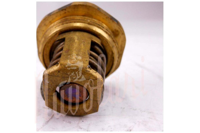 TERMOSTATO BOA SAVARA D/40mm 83° A VITE