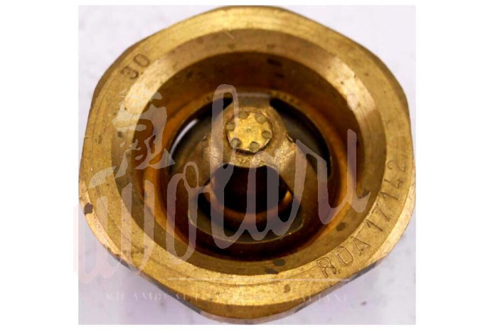 TERMOSTATO BOA SAVARA D/40mm 83° A VITE