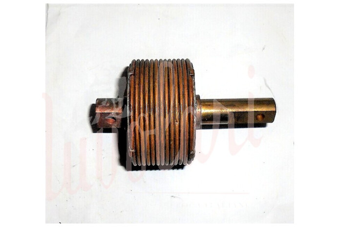 TERMOSTATO WAHLER 75°