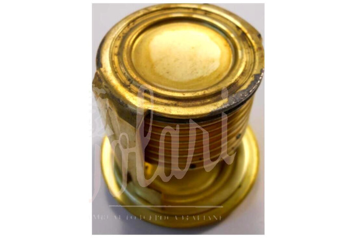 TERMOSTATO SAVARA GGT