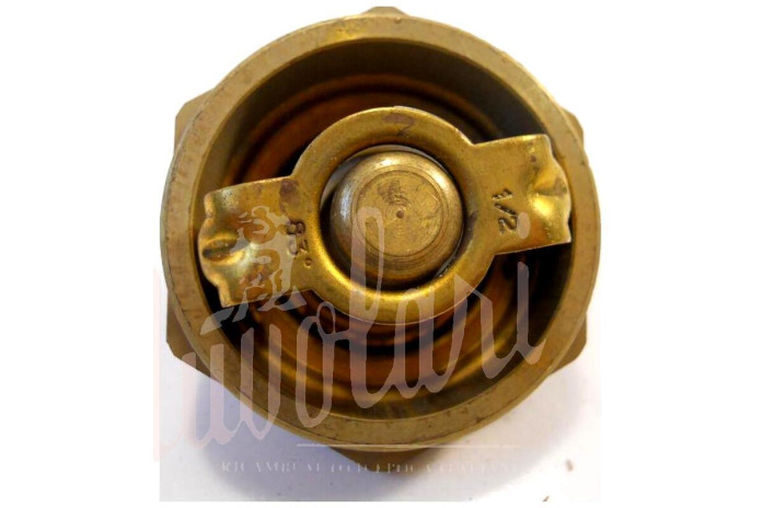 TERMOSTATO SAVARA WAHLER D/46 83°