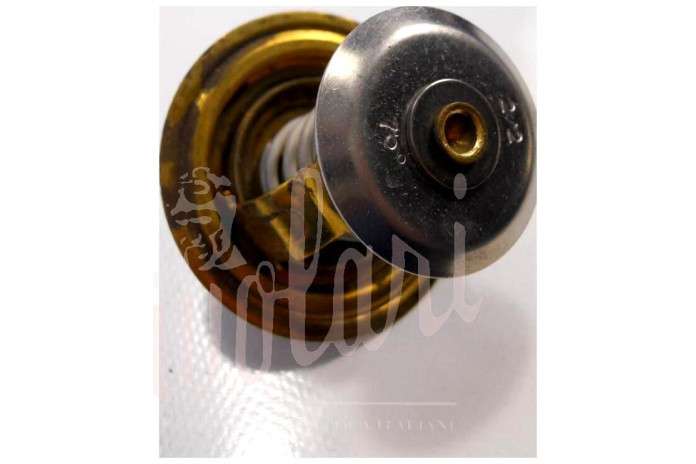 TERMOSTATO WAHLER D/56mm 75°