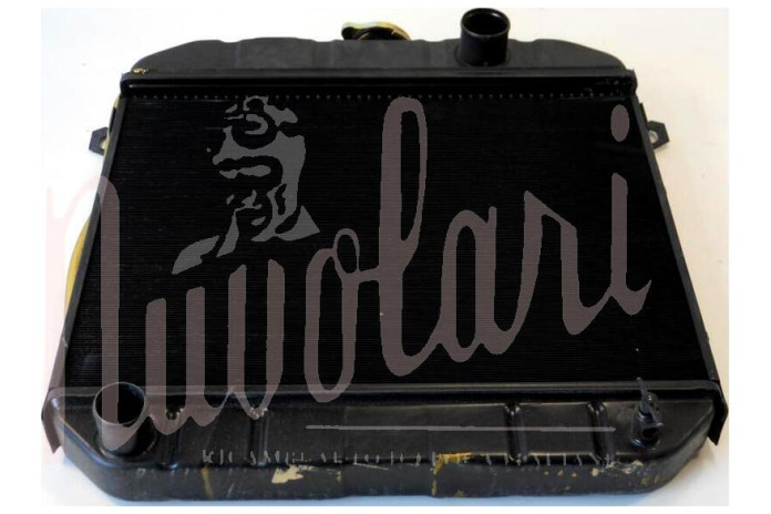 RADIATORE (CARCASSA ALTA)