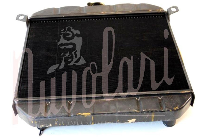 RADIATORE (CARCASSA ALTA)