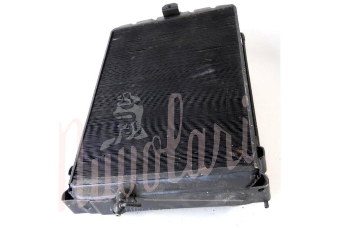 RADIATORE REVISIONATO