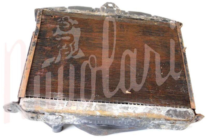 RADIATORE (TAPPO IMMERSIONE A SCATTO)