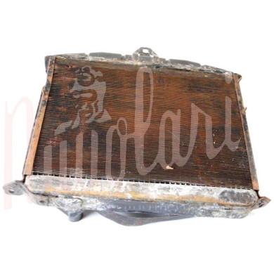 RADIATORE (TAPPO IMMERSIONE A SCATTO)