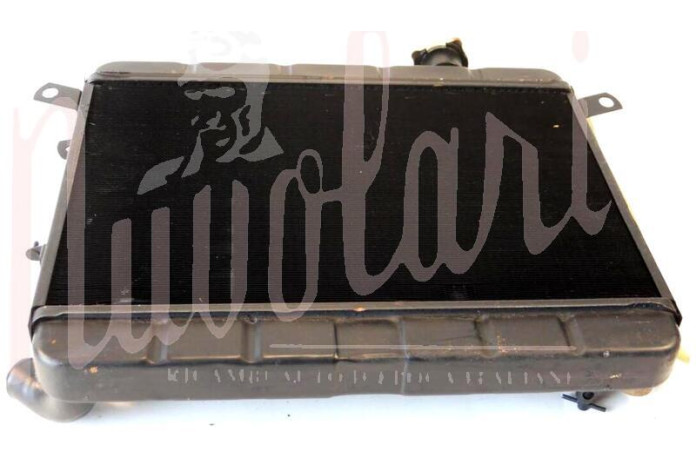 RADIATORE (TUBO SFIATO D/8mm)