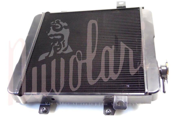 RADIATORE (TAPPO BASSO H/2,5mm)