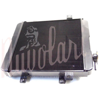 RADIATORE (TAPPO BASSO H/2,5mm)