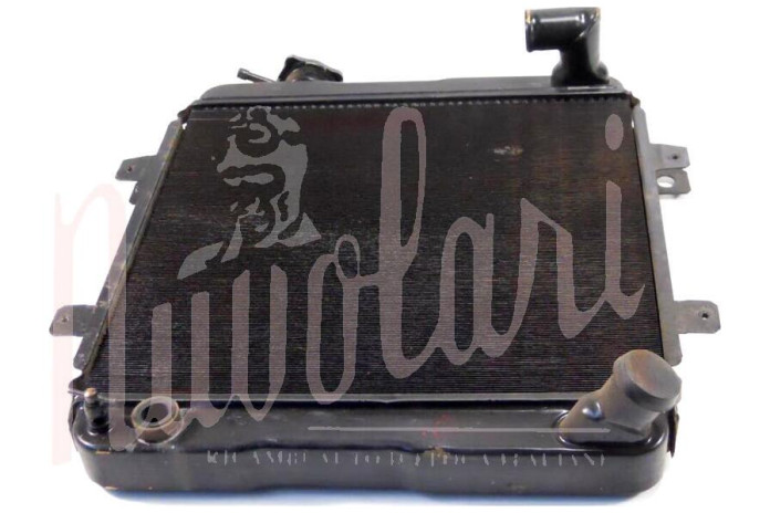 RADIATORE (TAPPO BASSO H/2,5mm)