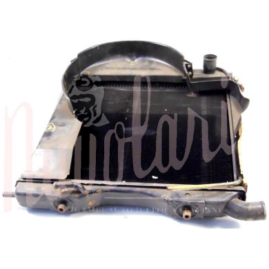 RADIATORE (COMPLETO DI PERSIANA E CONVOGLIATORE)