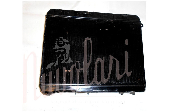 RADIATORE (TUBO SFIATO LATERALE LUNGO)