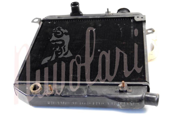 RADIATORE (CON PRIGIONIERI FISSAGGI ELETTROVENTOLA)