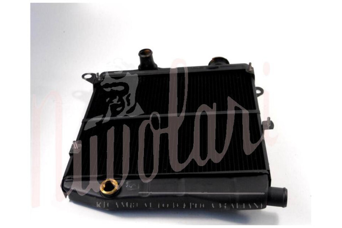 RADIATORE (STAFFE ELETTROVENTOLA INTERNE)