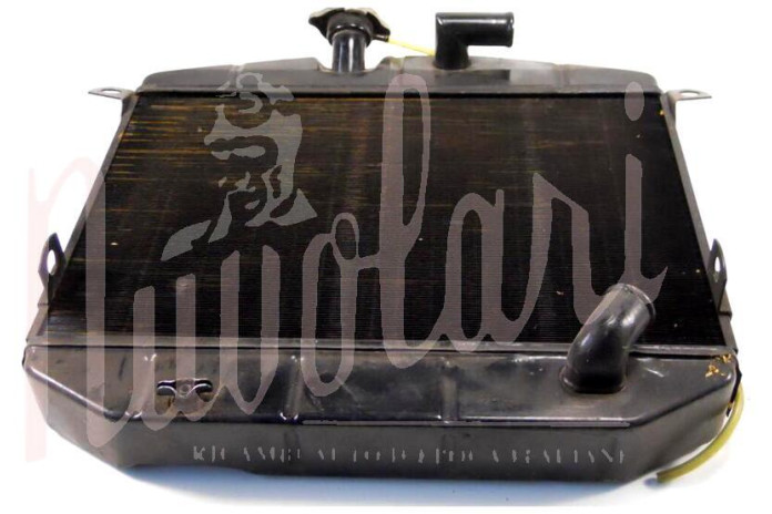 RADIATORE (DAL MOTORE N°00102.32001)