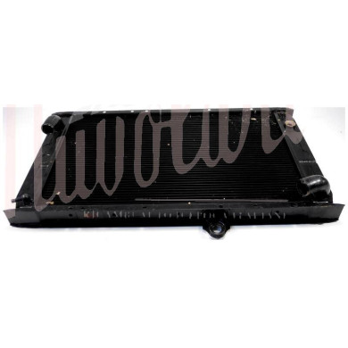 RADIATORE (1 FORO PER BULBI)