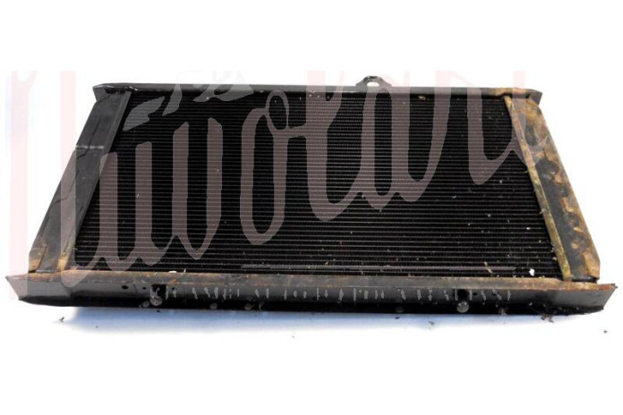 RADIATORE (1 FORO PER BULBI)