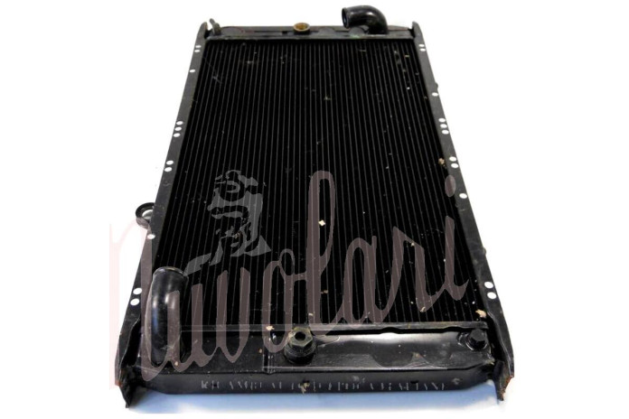 RADIATORE (2 FORI PER BULBI)