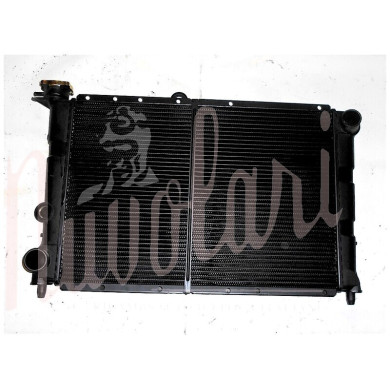 RADIATORE (MASSA RADIANTE LARGA)