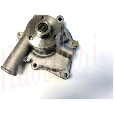 POMPA ACQUA CON MOZZETTO