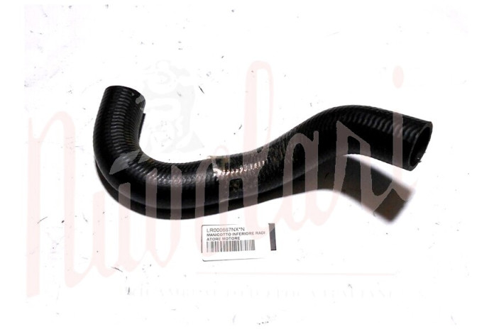 MANICOTTO INFERIORE RADIATORE MOTORE