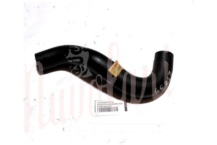 MANICOTTO INFERIORE RADIATORE MOTORE