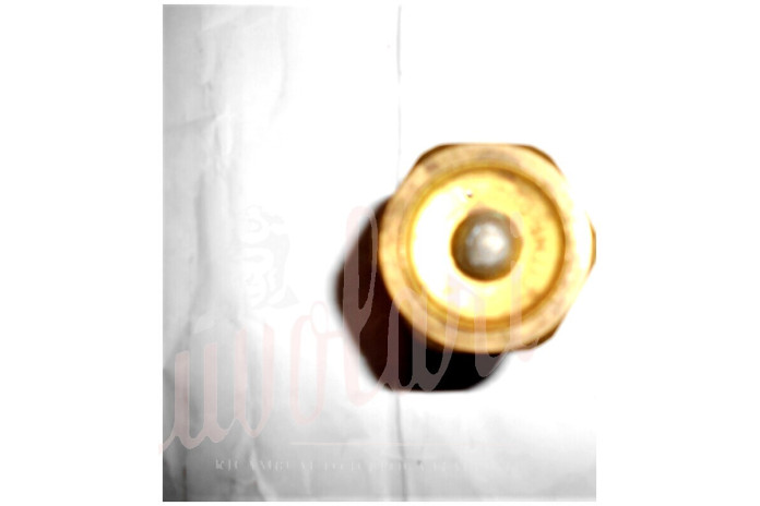 TERMOSTATO SAVARA BOA D/36 82°-87°