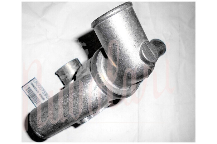 TERMOSTATO BEHR 80°