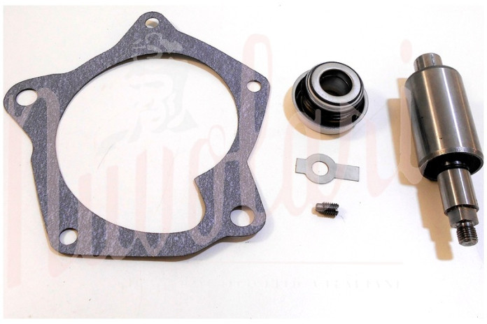 KIT REVISIONE POMPA ACQUA THEMA 8:32 (ALBERINO D.15 O D.16)