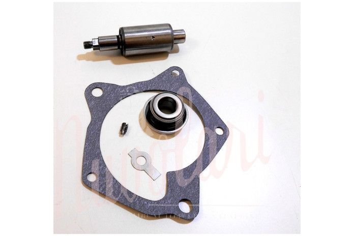 KIT REVISIONE POMPA ACQUA THEMA 8:32 (ALBERINO D.15 O D.16)