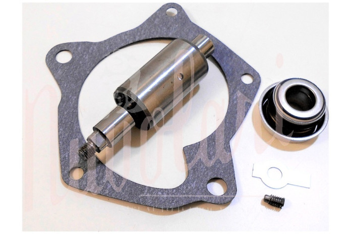 KIT REVISIONE POMPA ACQUA THEMA 8:32 (ALBERINO D.15 O D.16)