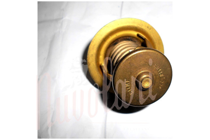 TERMOSTATO CITMF BOA D/56mm 77°(NO BORDO)