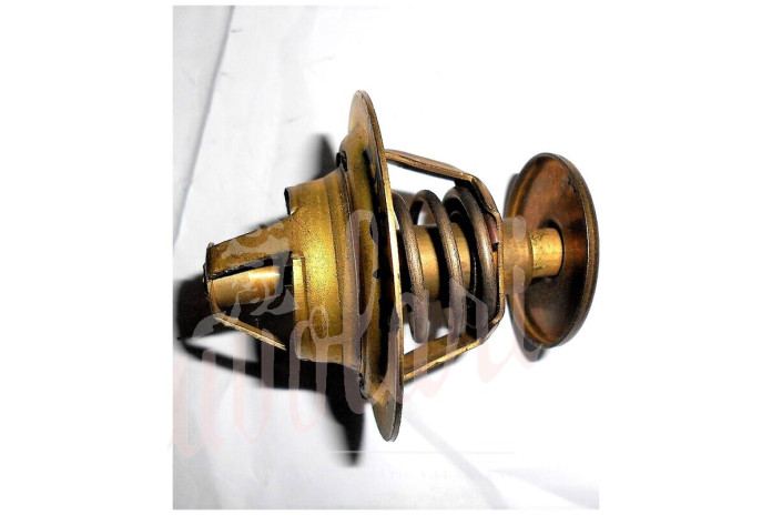 TERMOSTATO CITMF BOA D/56mm 77°(NO BORDO)