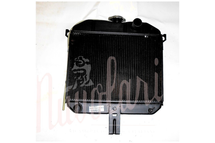 RADIATORE (CARCASSA BASSA)