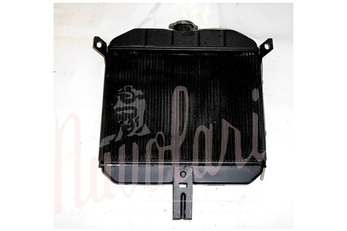 RADIATORE (CARCASSA BASSA)